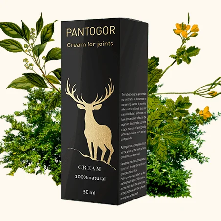 Pantogor - Kem bôi giảm đau nhức xương khớp