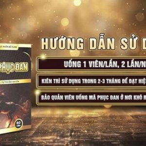 Hướng dẫn sử dụng hiệu quả viên uống Mã phục đan