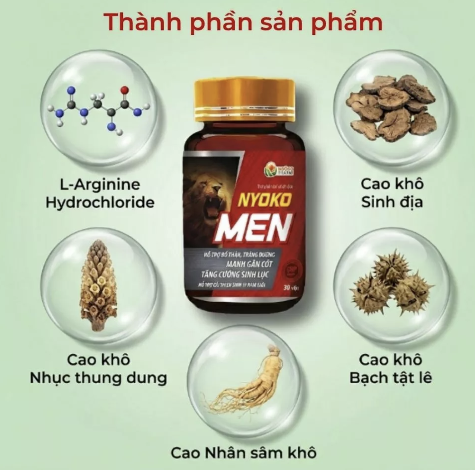 Thành phần viên uống bổ thận Nyoko Men